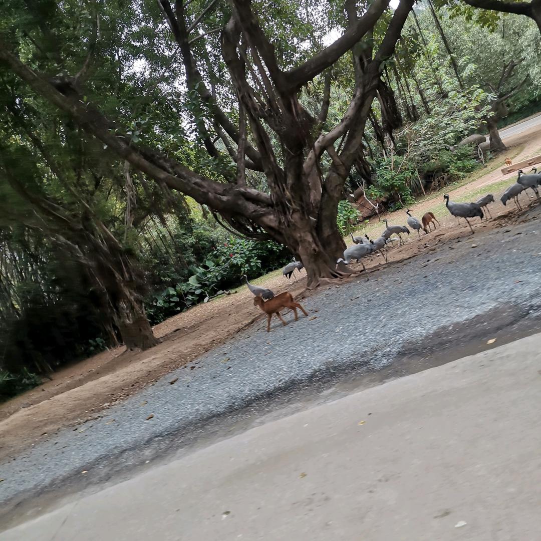 Wu怎么开心，怎么过…