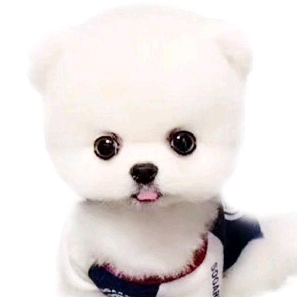 忠哥