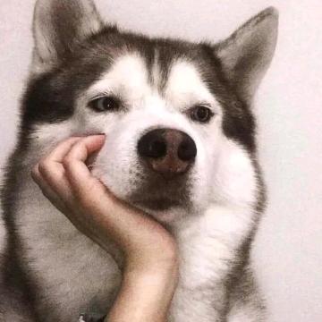 千枫.
