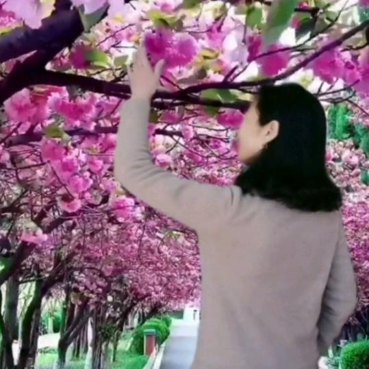 雨花石.