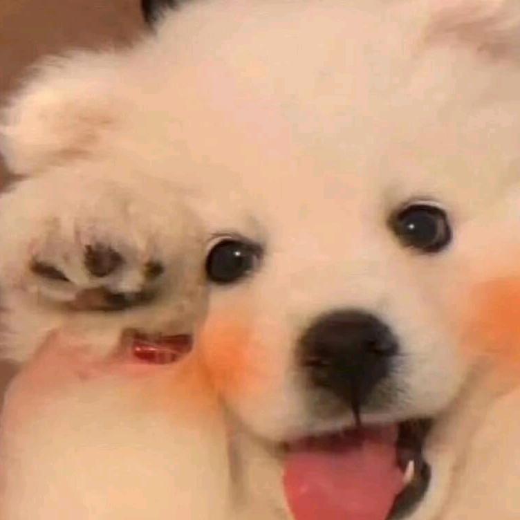 贝