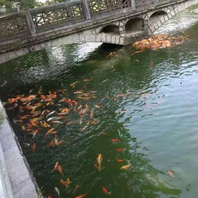 🦹¹ᶟ₁₄顺李成张🦹¹ᶟ