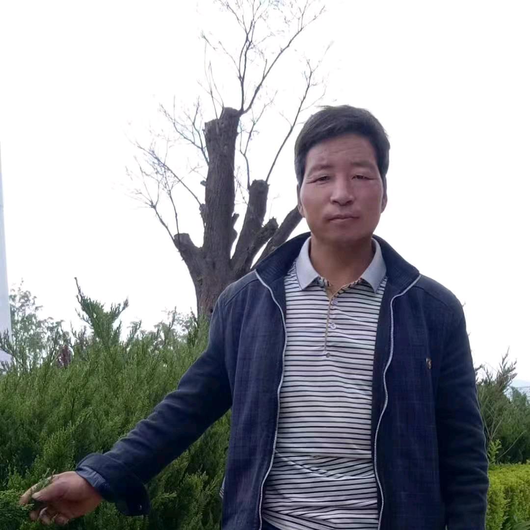 张景峰