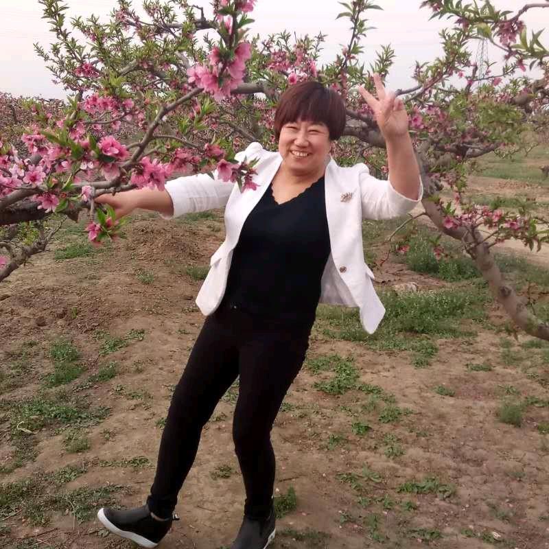 红娘刘姐