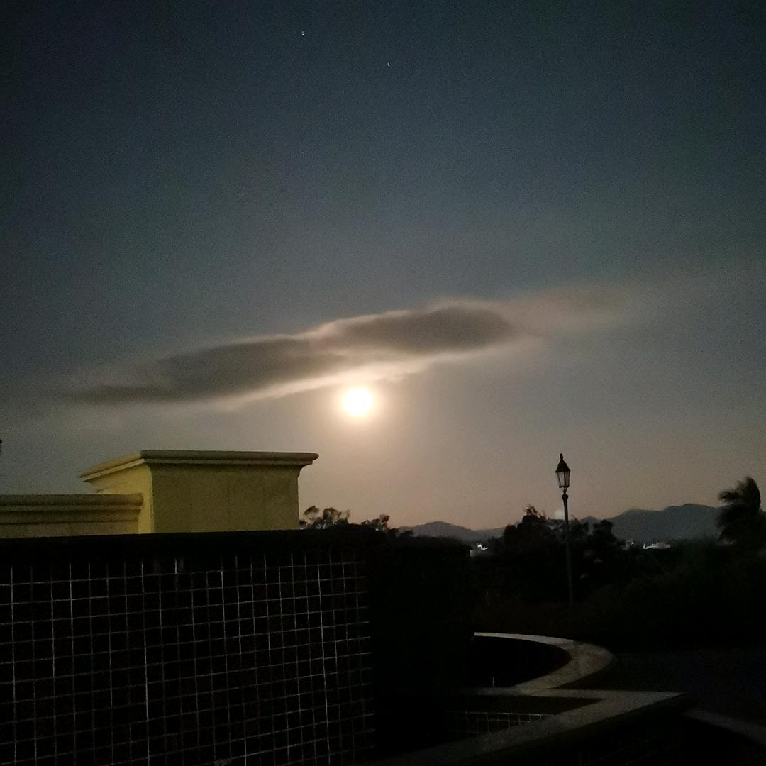沙漠里的骆驼
