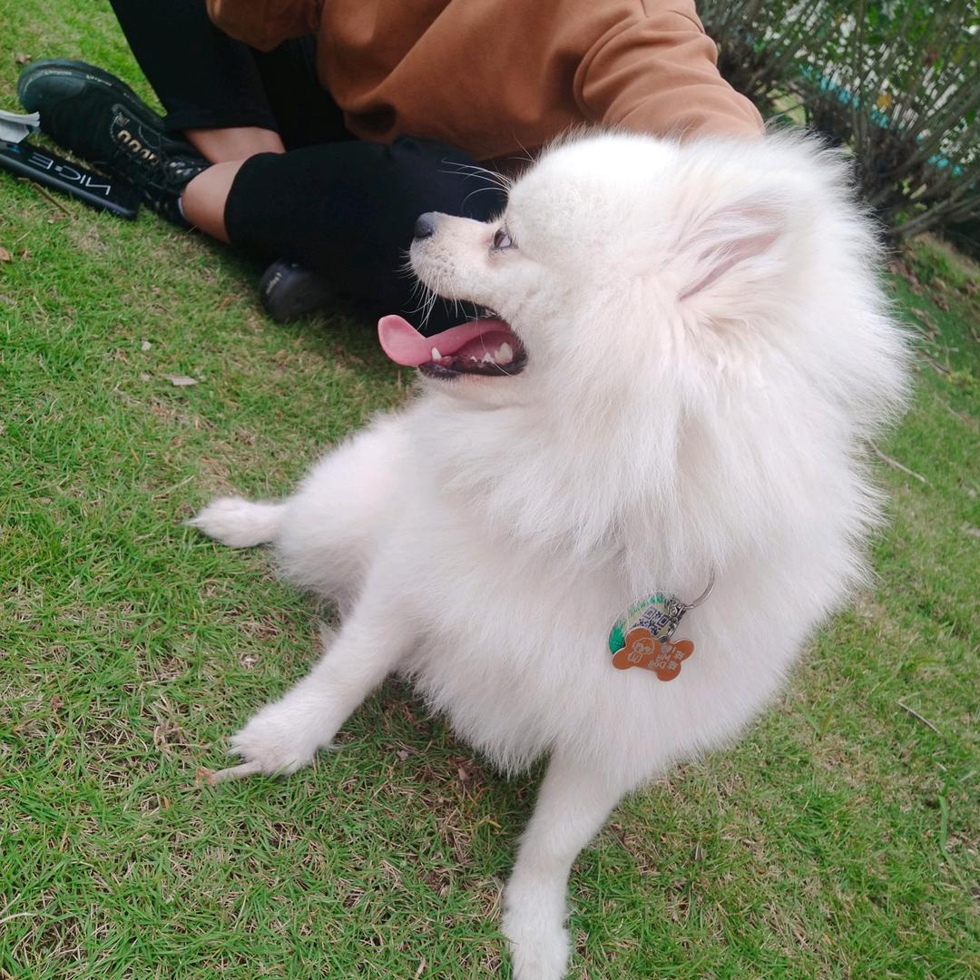 是个瓜呀