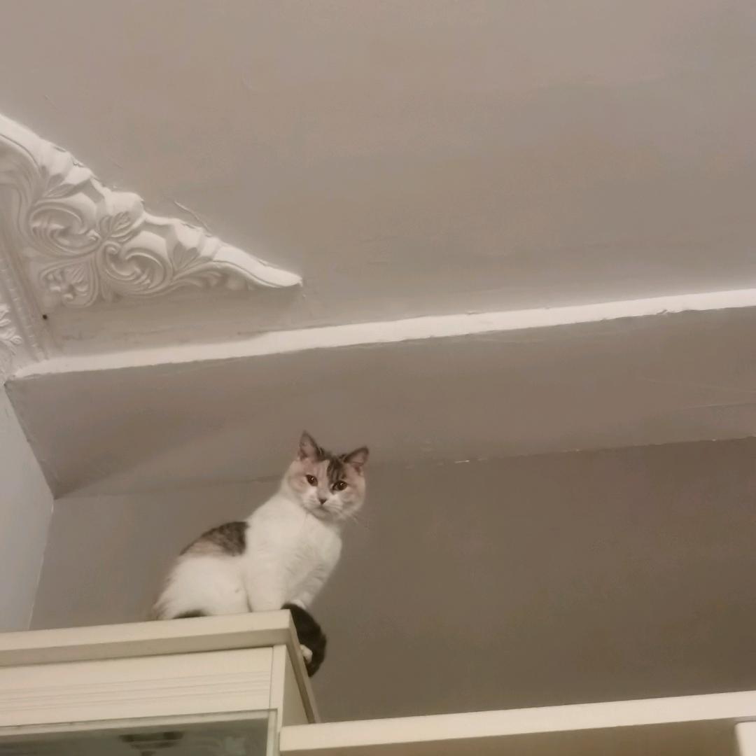 安岳100减5jin（纤秀婷）