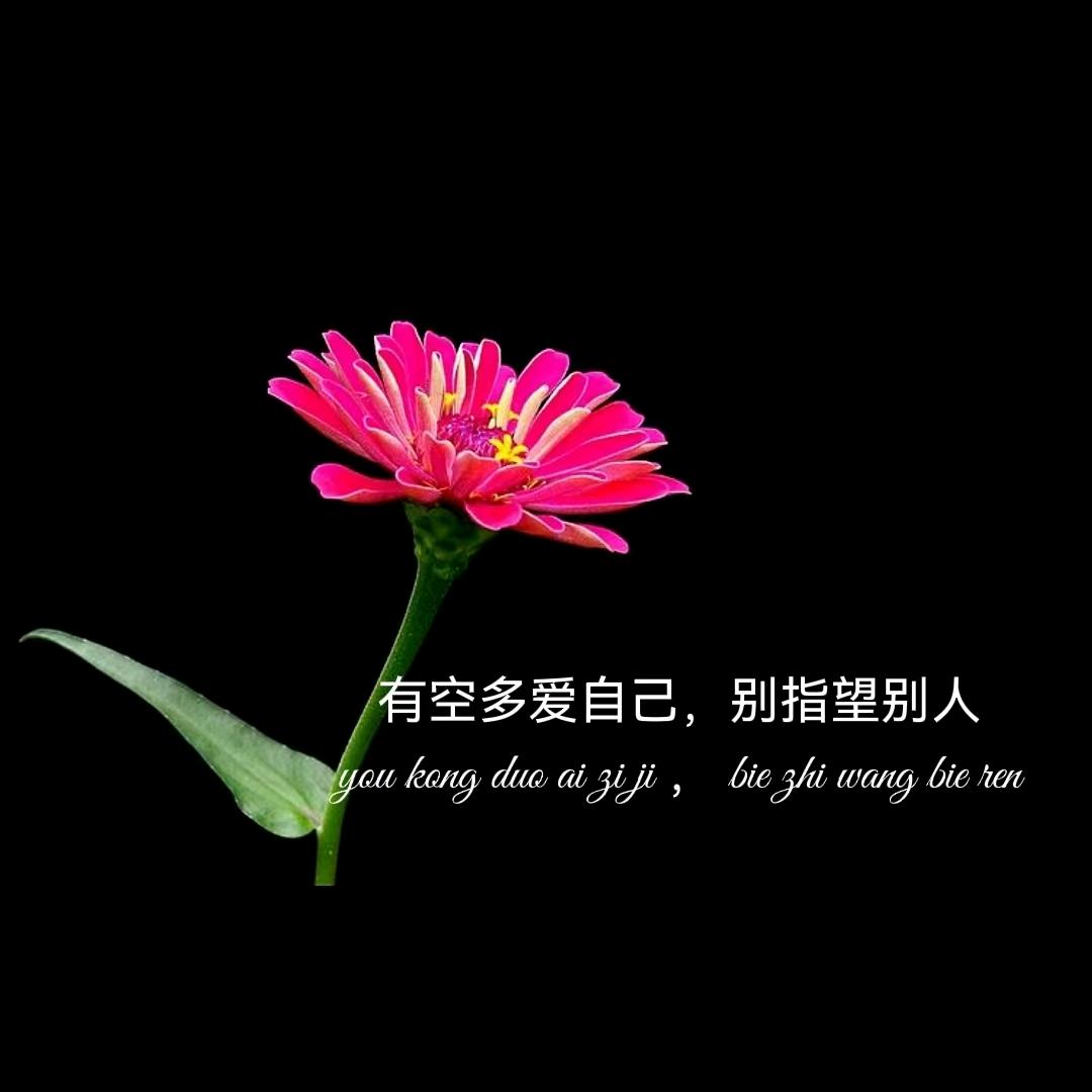 ღ᭄ꦿ余生勿扰꯭᭄꧔ꦿ℘⸙