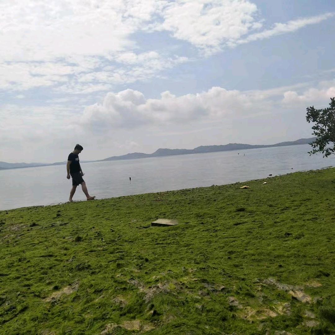 川香酱味帅气老板