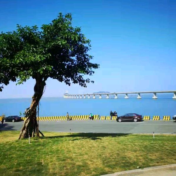 丁兆华