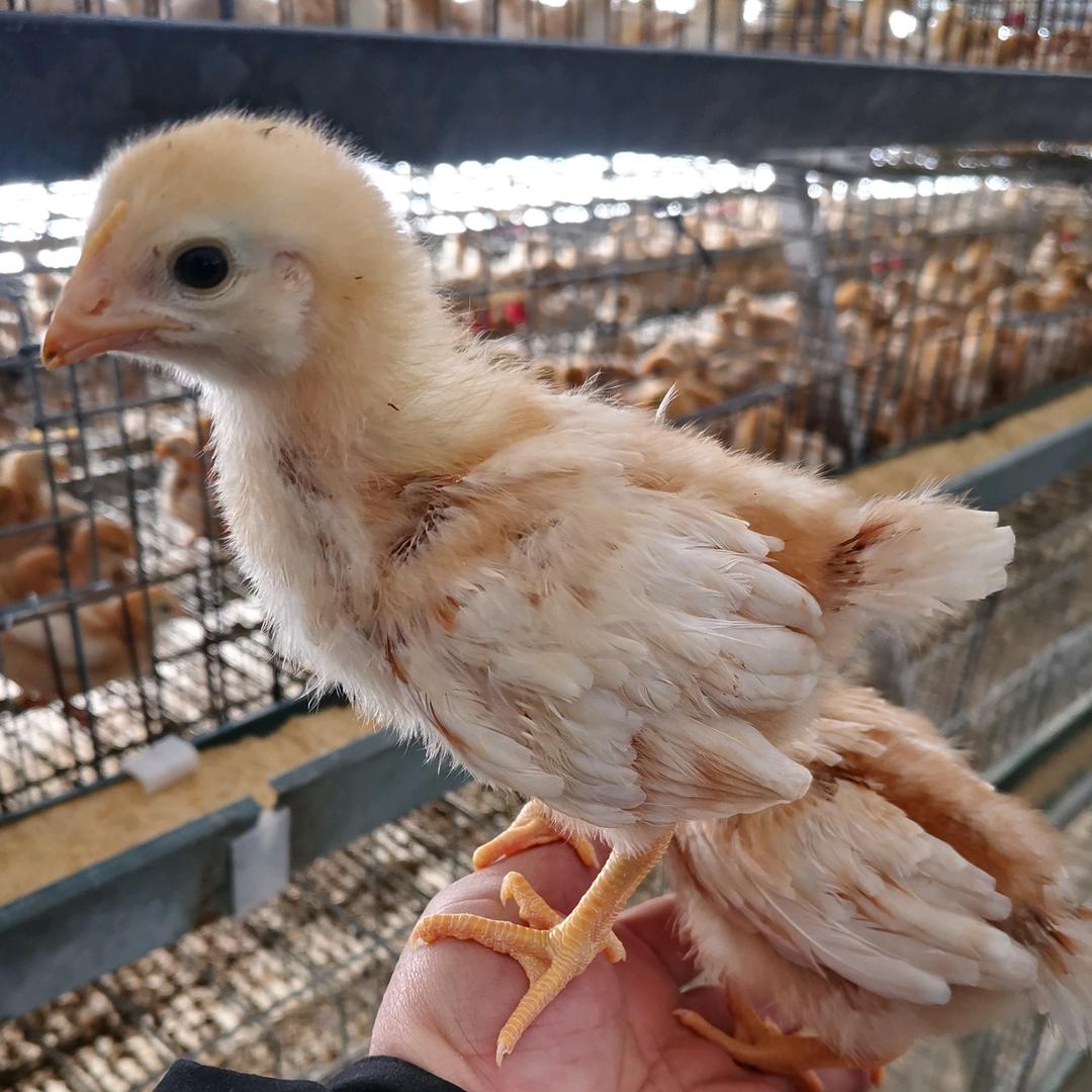 新绛县志学农牧科技有限公司