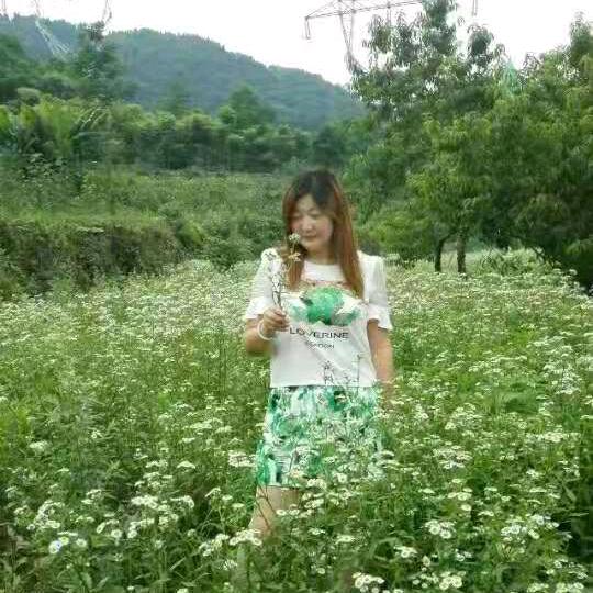荣姐