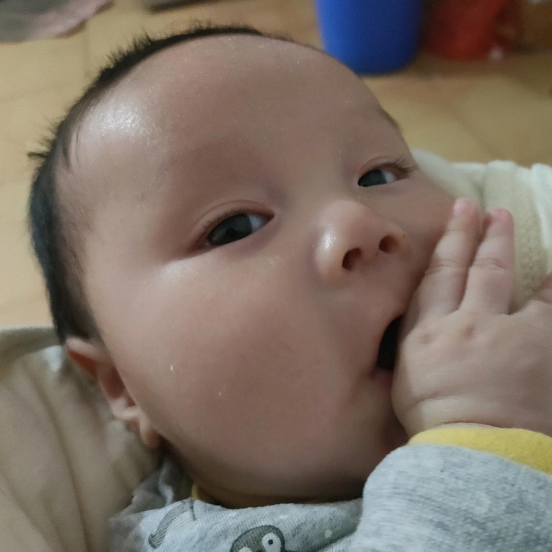 凯莉（二妹）