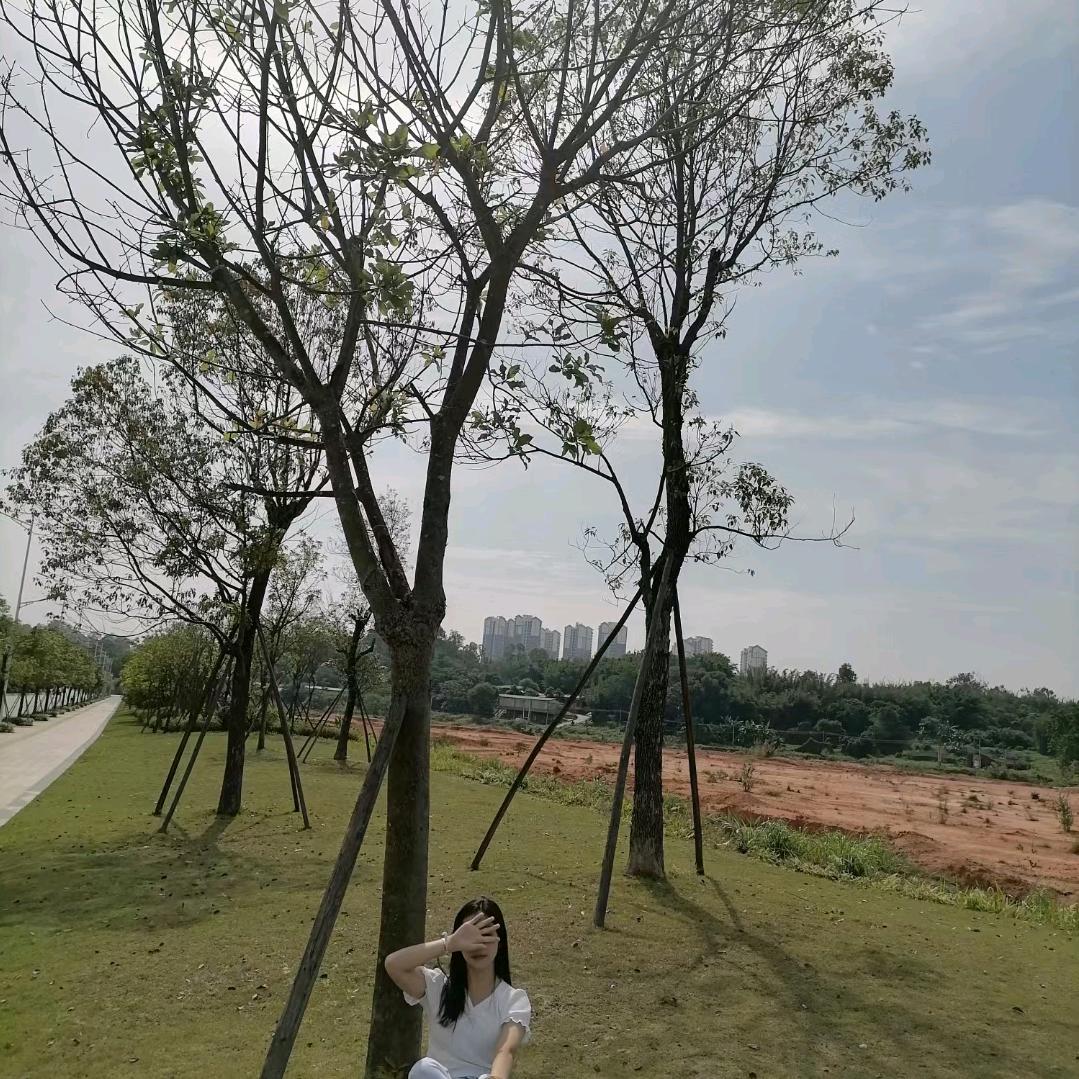 绾绾我熙