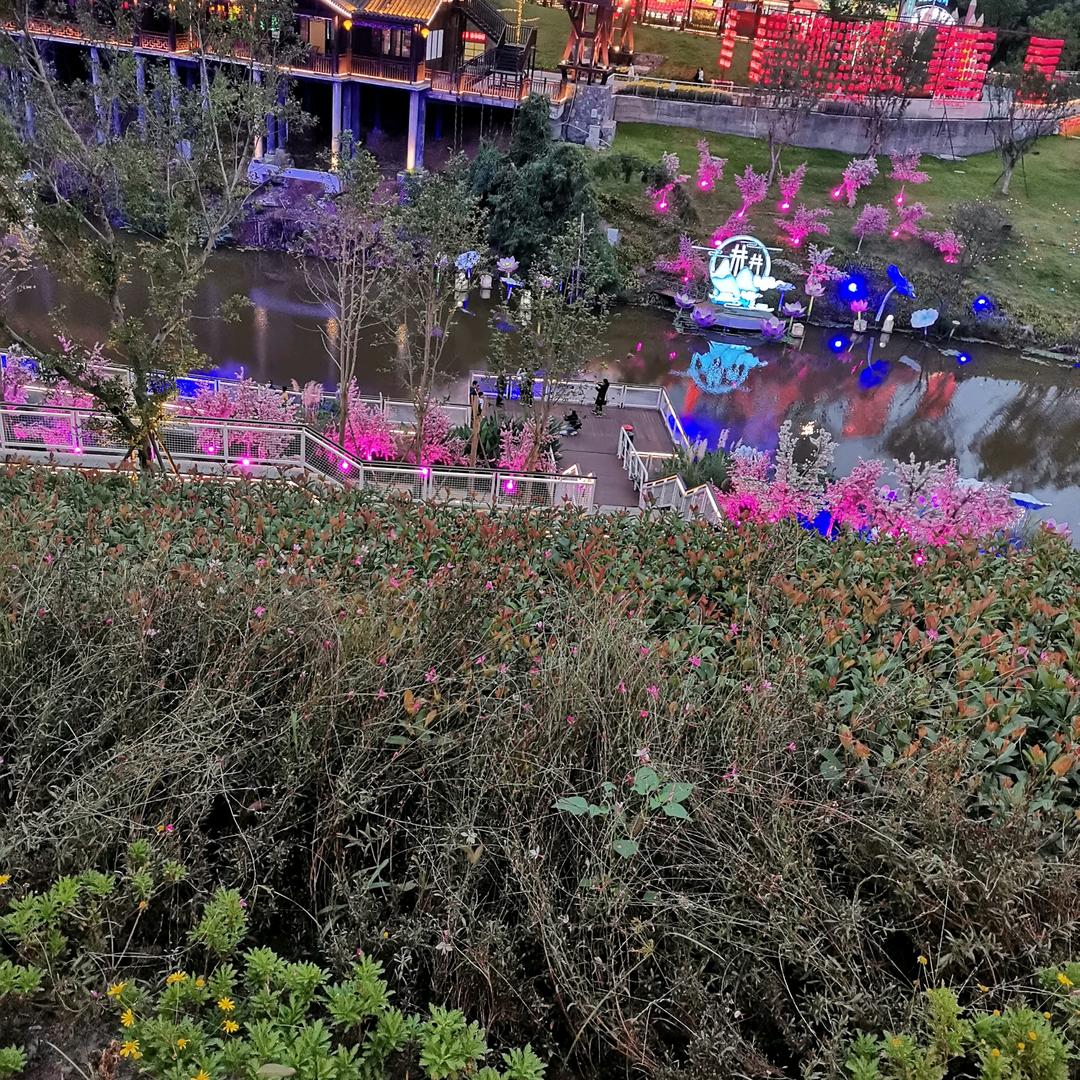 快乐一生平安（5223）