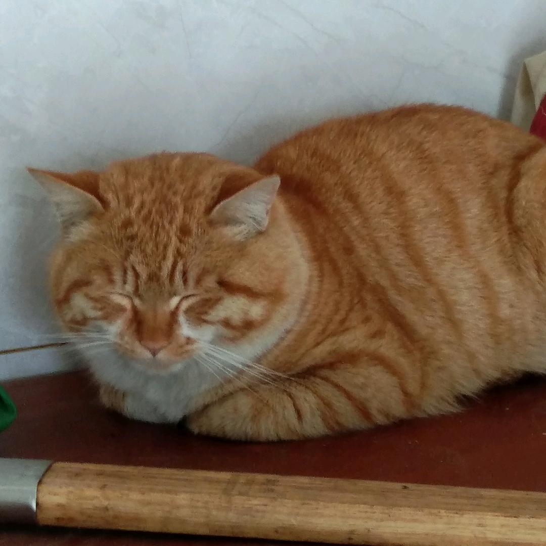 蓝天白云