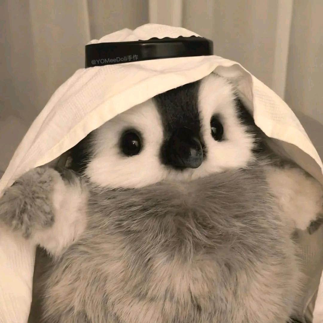 倥