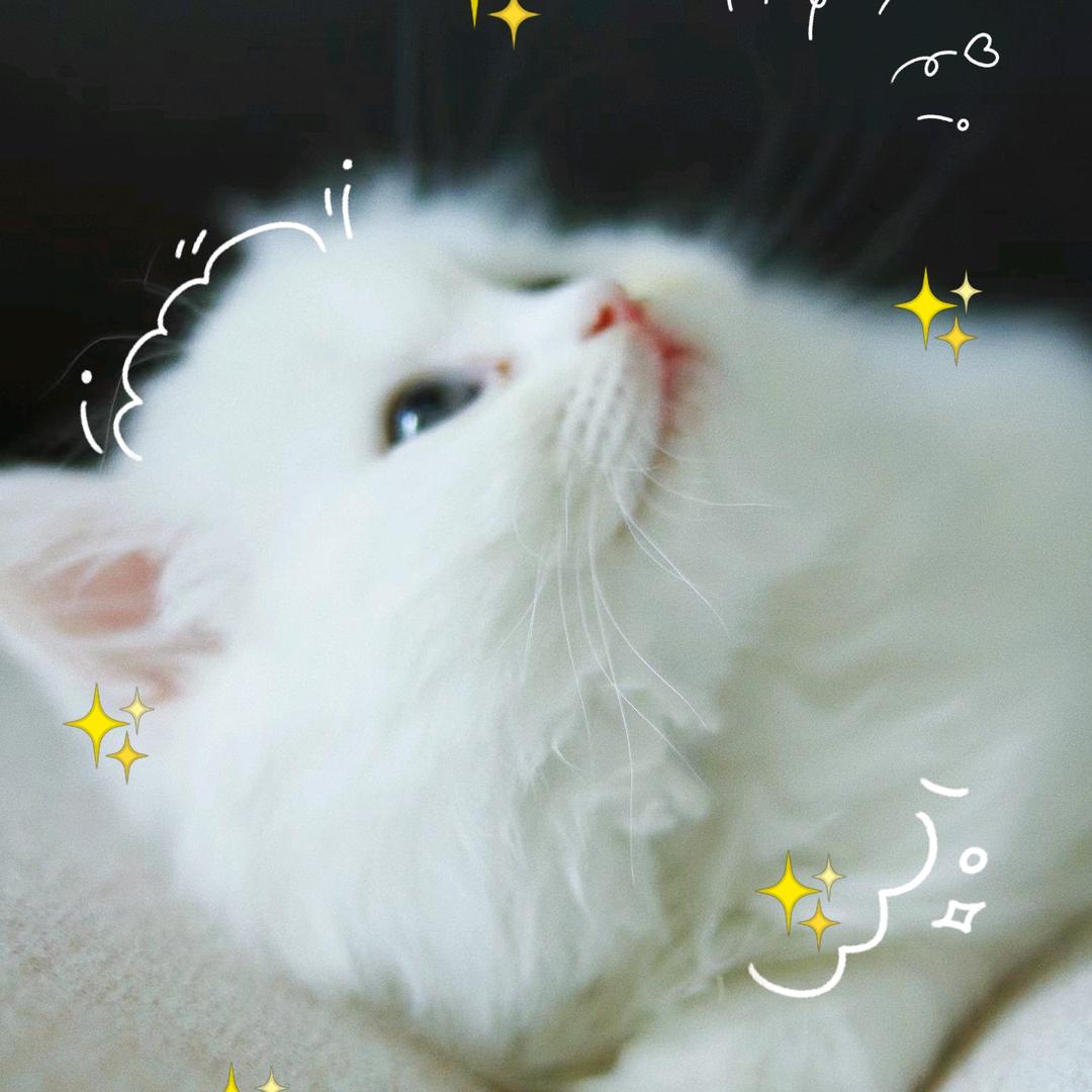 是01呀～