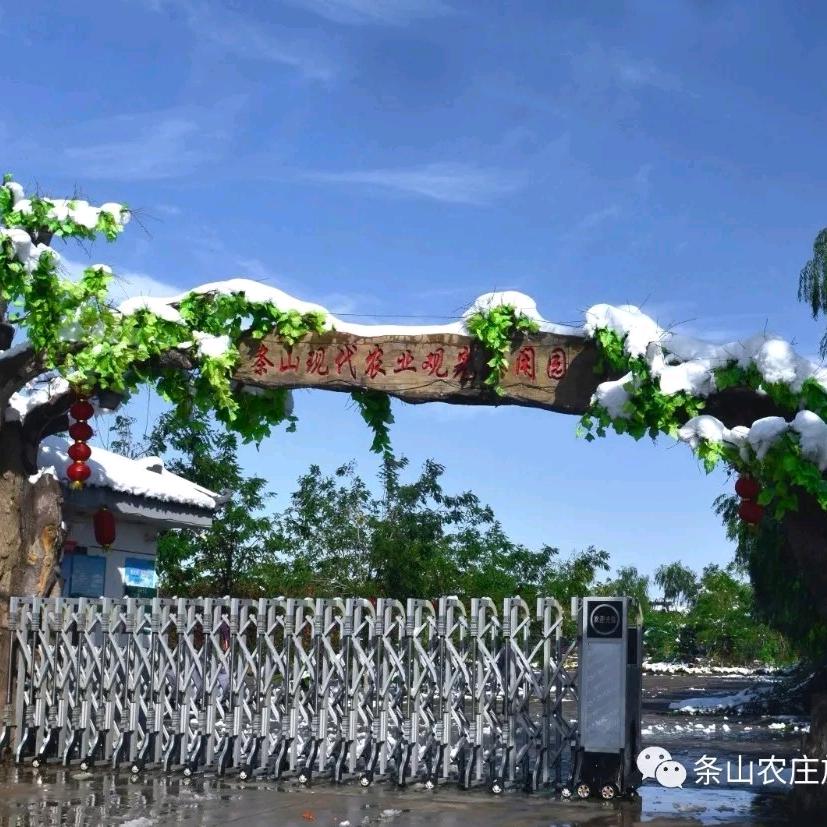 故人旧巷