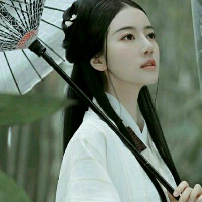竹风雅梦
