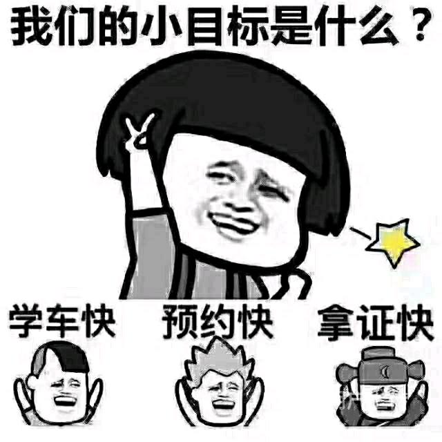 飞迪学车日记