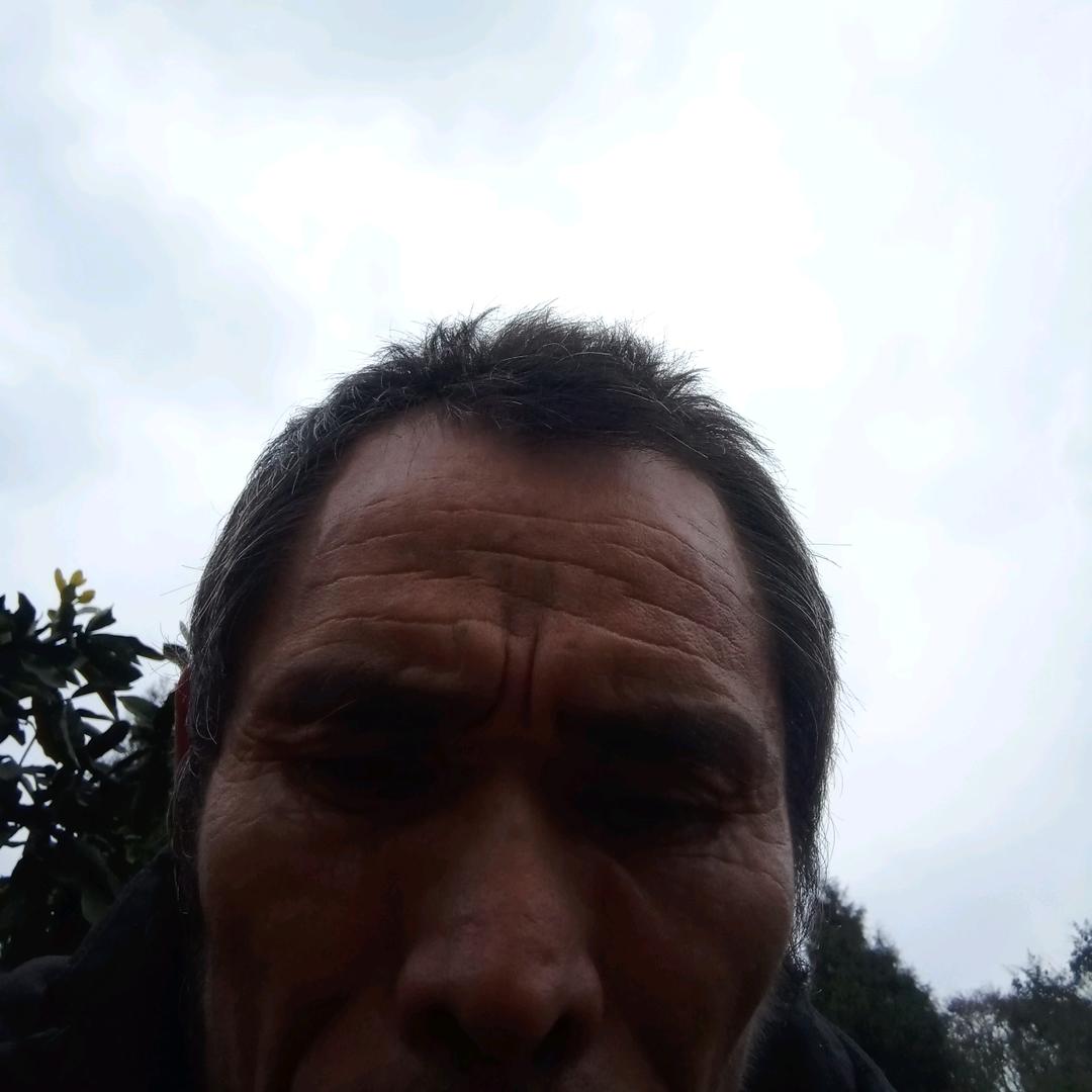飞龙湖红蜜柚胡德明