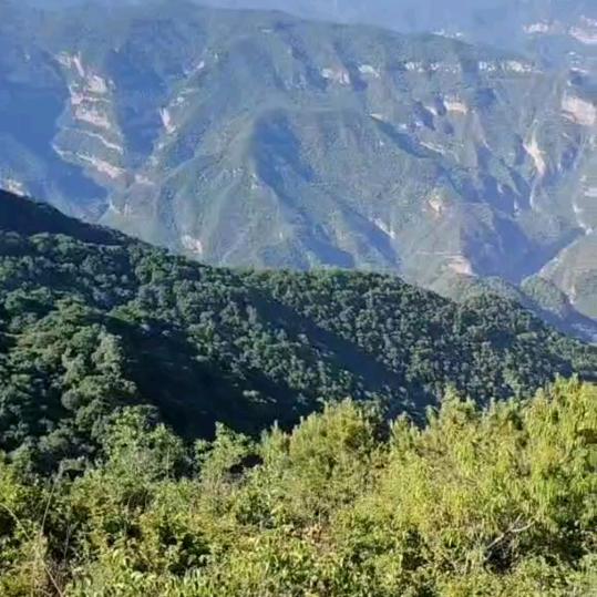 喜乐的心乃是良药