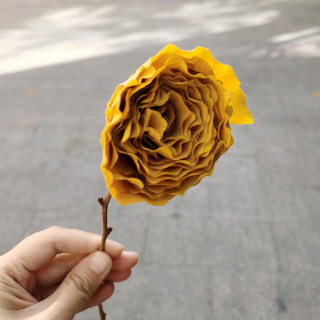 小玉扳指
