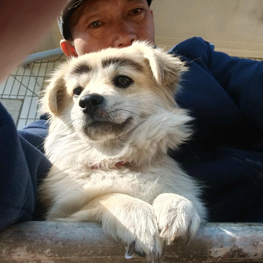 用户3752249499092王大哥