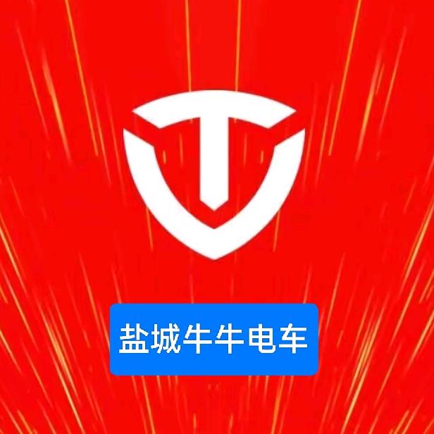 盐城牛牛电车