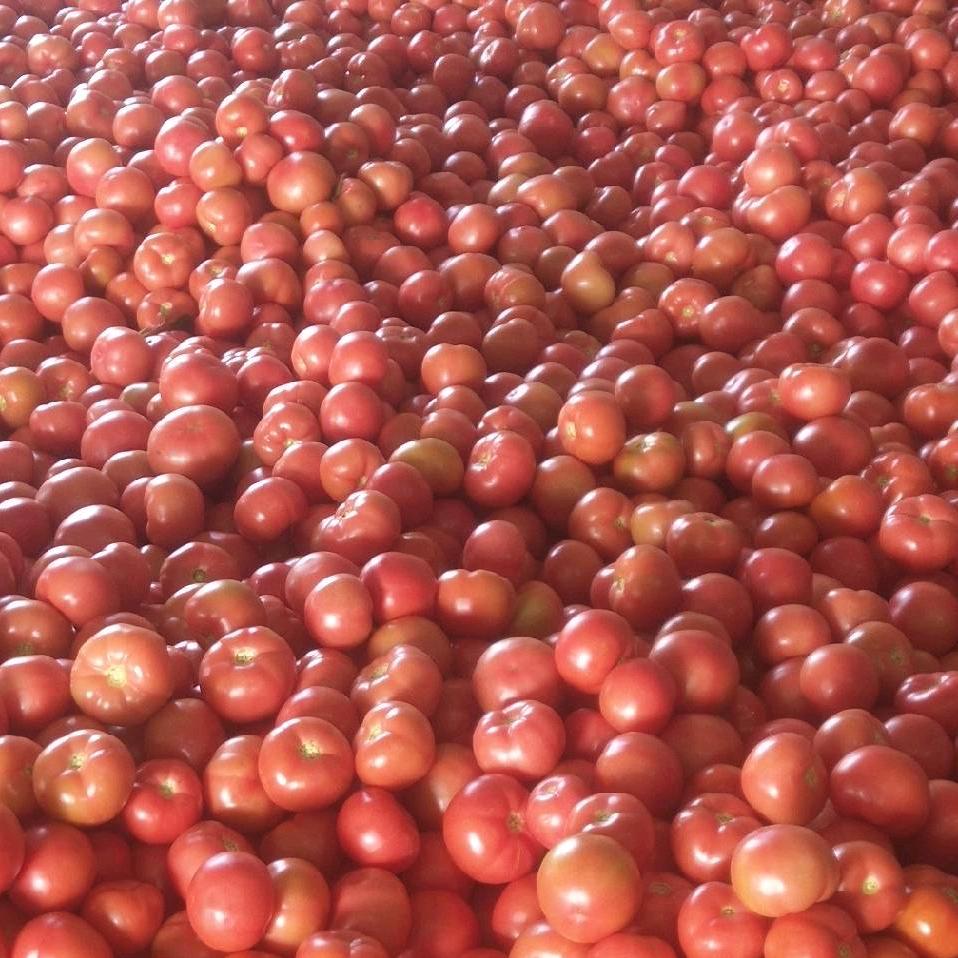 这美女，是那里的，