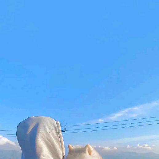 随缘321