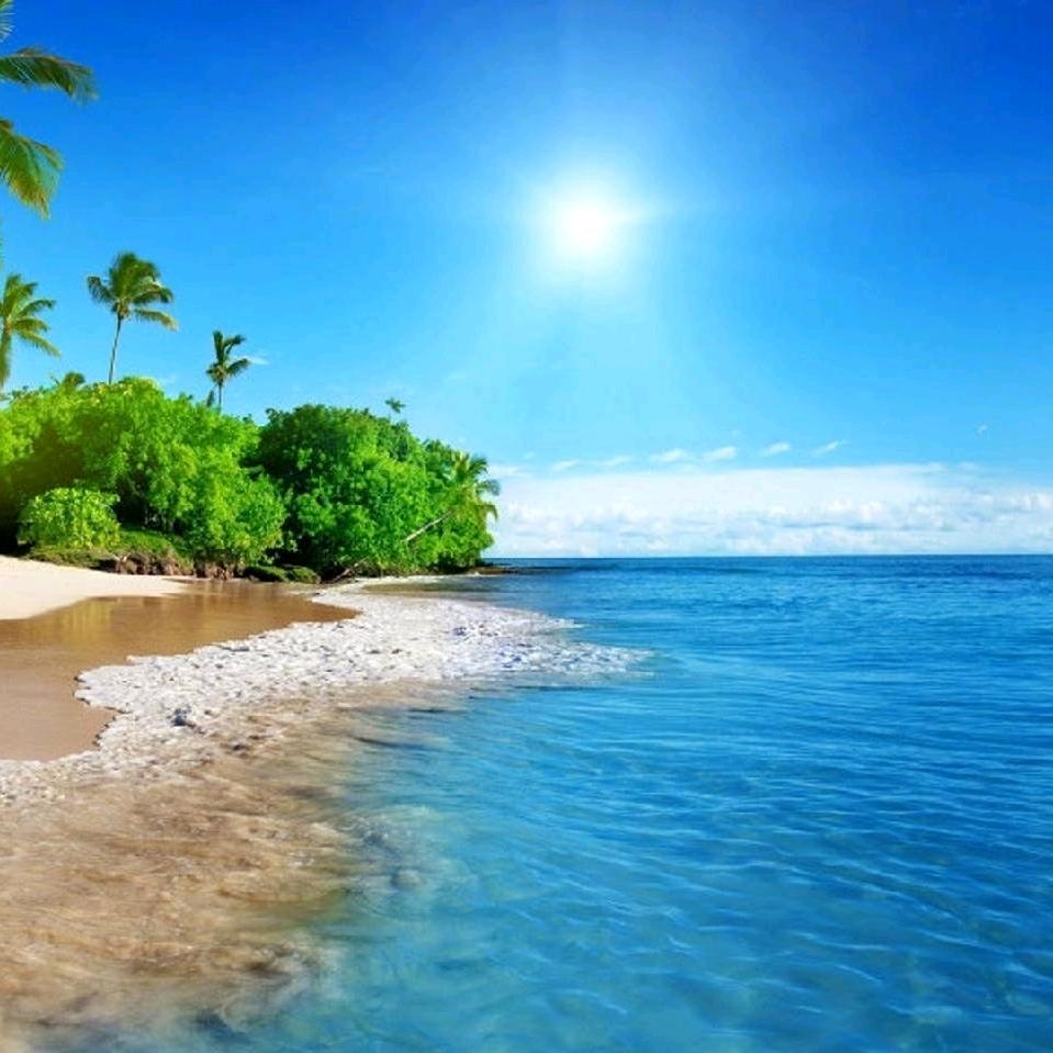 竹笛清韵《老先生》