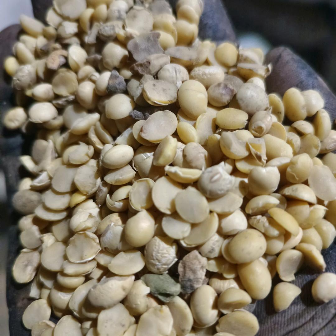 你若盛开蝴蝶自来张平粮贸