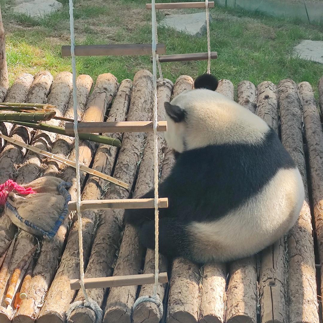 🌈老白菜的鱼塘主