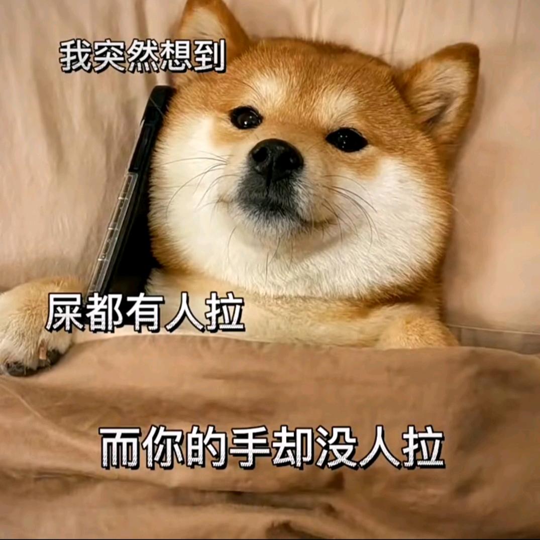 tang大