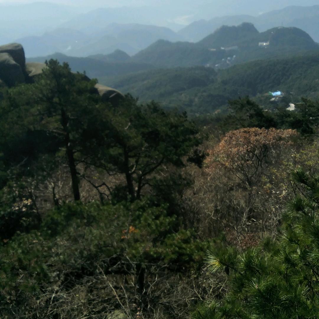 温馨港湾1191