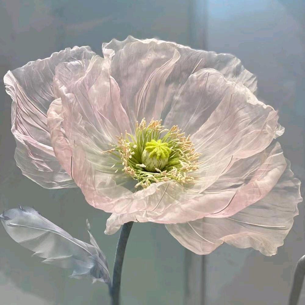 花开半夏.