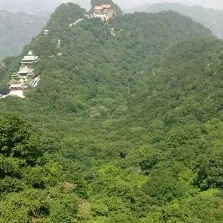 敷衍我就别烦我