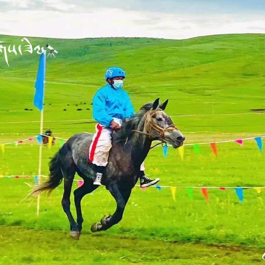 河曲马·云周托达🏆