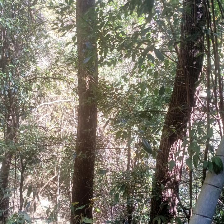 千山万水