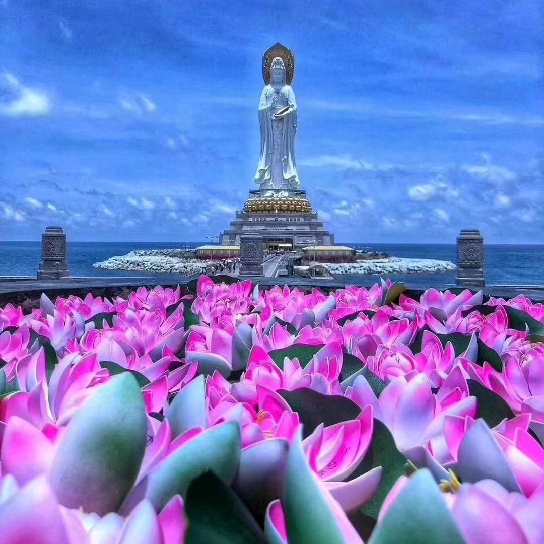 紫藤