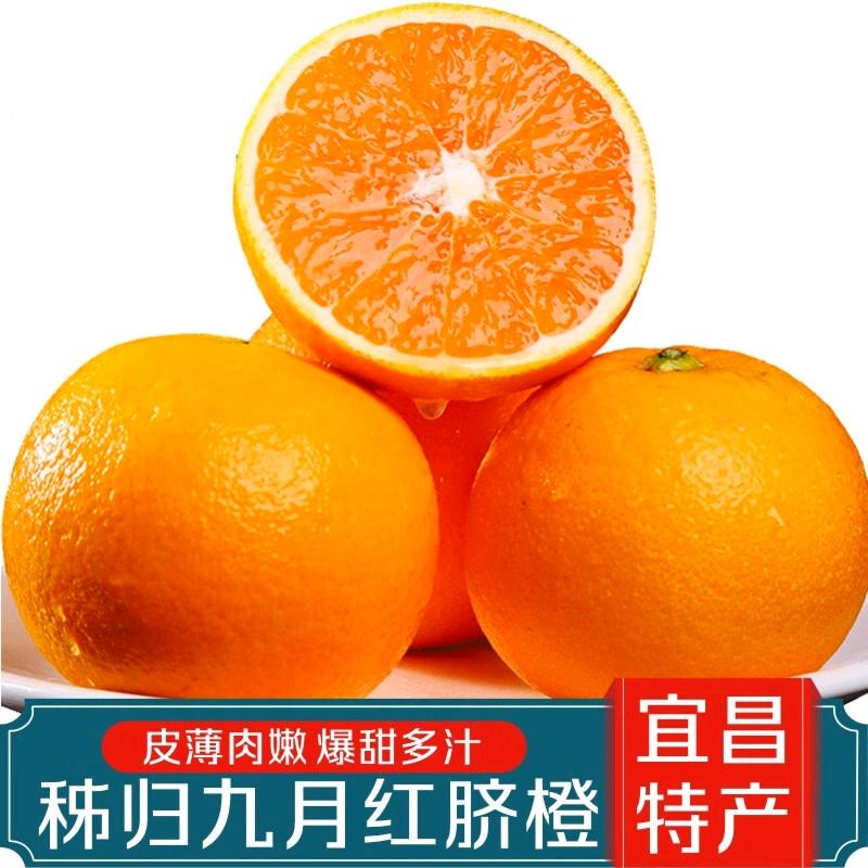 秭归九月红  纽荷尔 产地直销