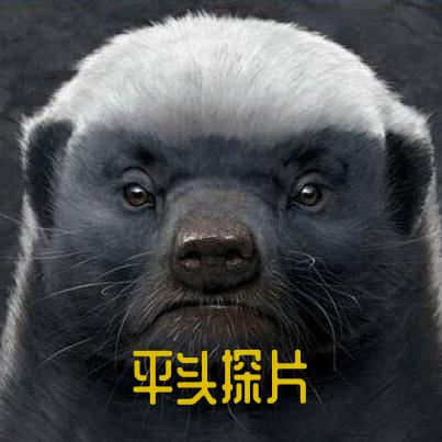 平头探片