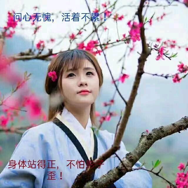 放飞自我