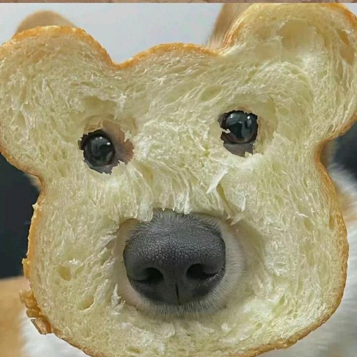 只跟高颜值的人说话