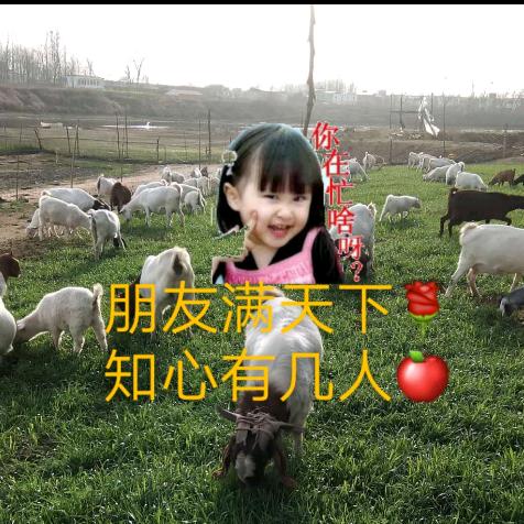 豫南正好农场