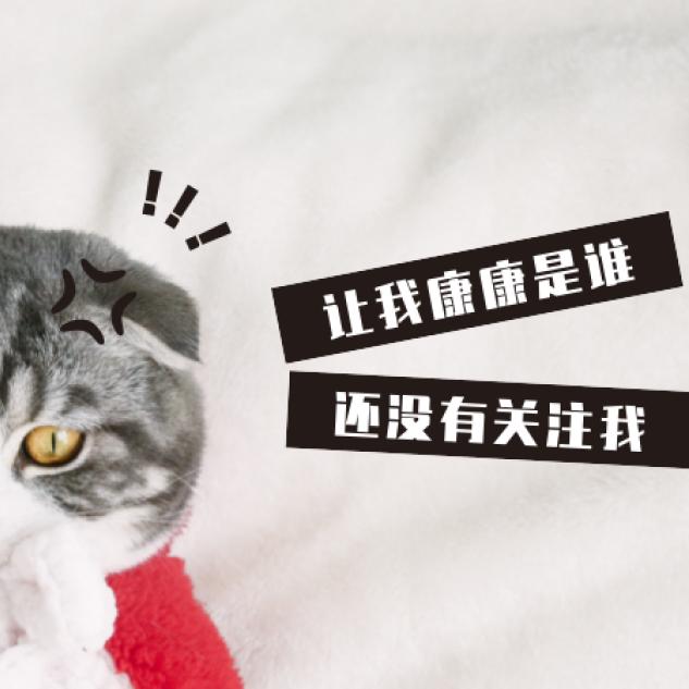 家家精选
