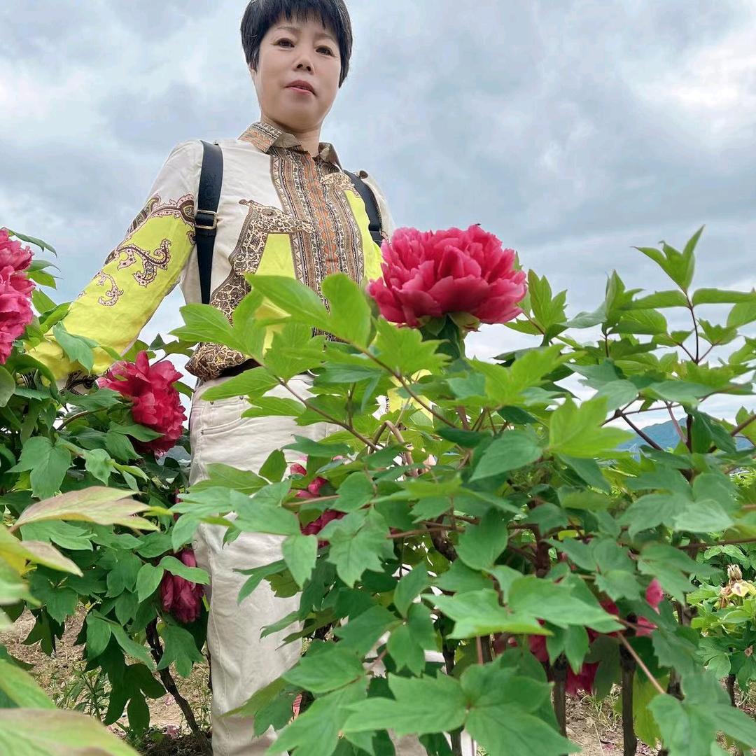 万万好物