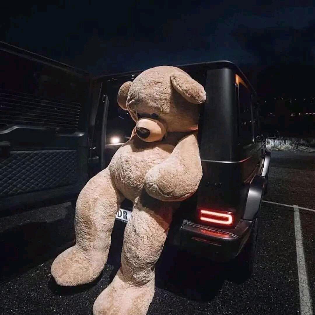 🌸ʚℱ王漂亮ঞ🌸